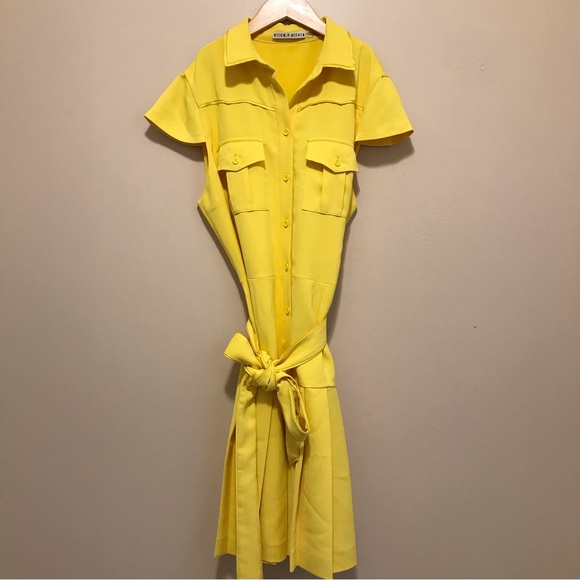 Alice + Olivia Yellow Yoko Short-sleeve Pleated Shirt Dress - Picture 2 of 15